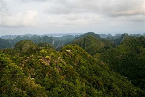 Tam Dao National Park – Vinh Phuc Province, Vietnam