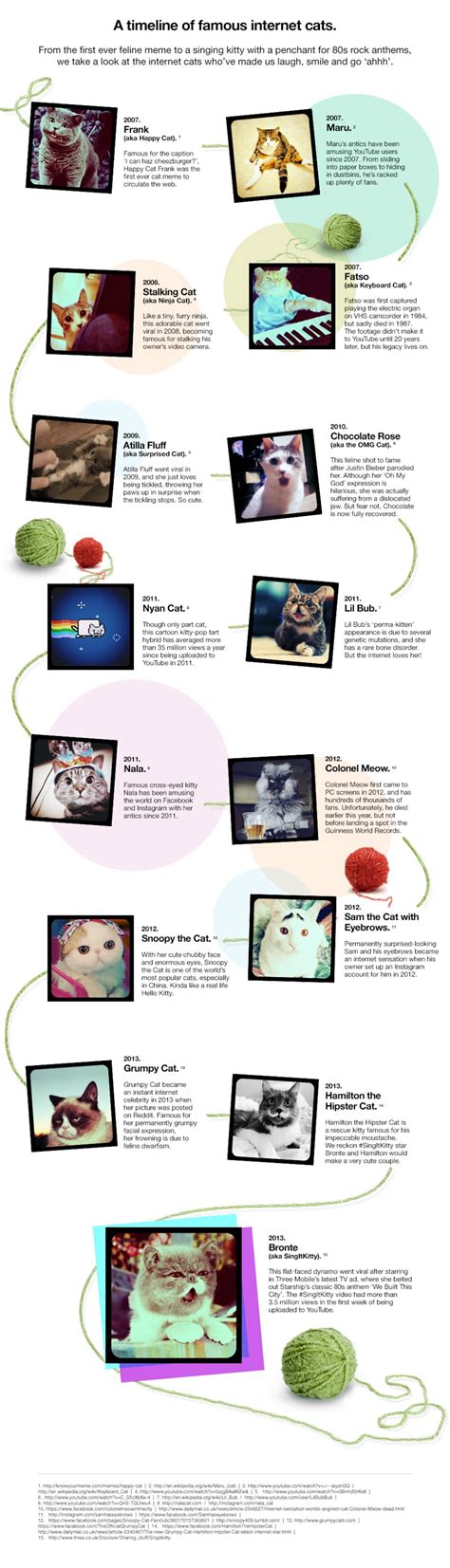 Cat Growth Chart [Infographic] - Best Infographics