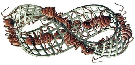 The Gnostic Notebook: Buckminster Fuller on the Moebius Strip