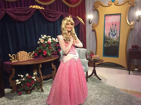 New Limited-Time Disney Princess Meet and Greet in World of Disney at Disney Springs - Inside ...