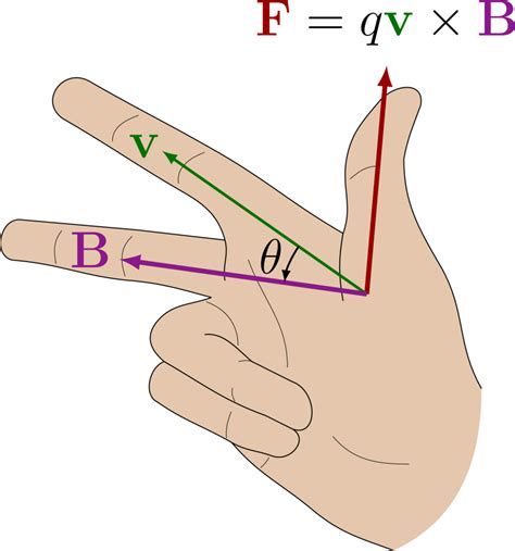 Unit 5 - Right Hand Rule Diagram | Quizlet