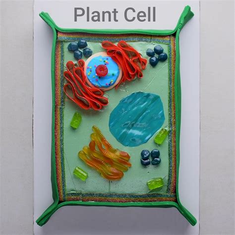 Edu-Cake Yourself With These 7 Cool Science Cakes | Plant cell cake, Plant cell, Edible cell project