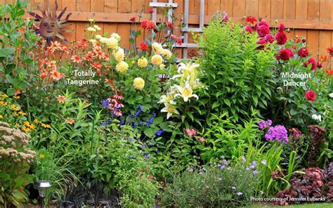 Find the right dahlia for your garden | Garden Gate