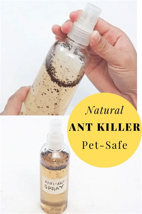 DIY Natural Ant Killer - Pet safe indoor homemade ant killer