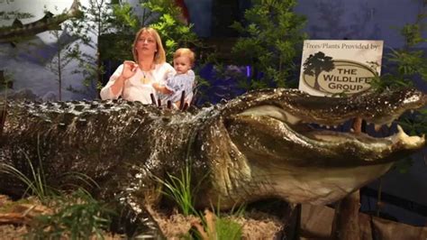 World Record Stokes alligator unveiled in Montgomery, Ala. - YouTube