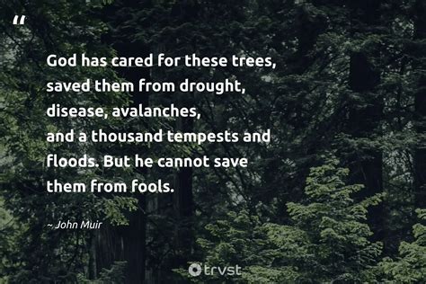 Save Trees Save Environment Slogans English