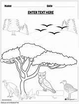 Coloring Worksheet Featuring Various Birds Storyboard sketch template