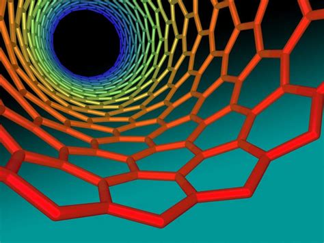 Why Is Carbon So Important in Biology? Key Element of Life on Earth