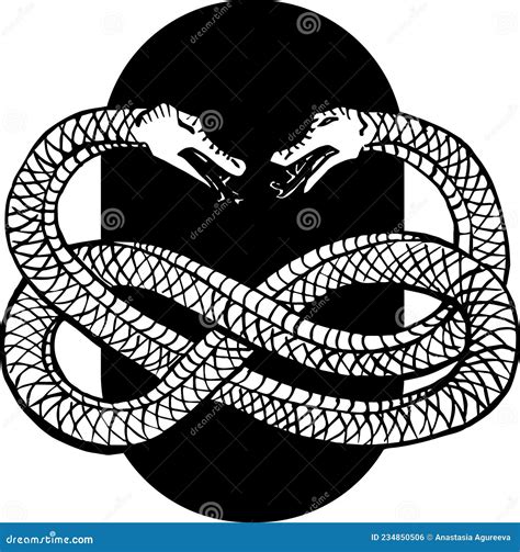 Two Headed Snake Cartoon Vector | CartoonDealer.com #21344141