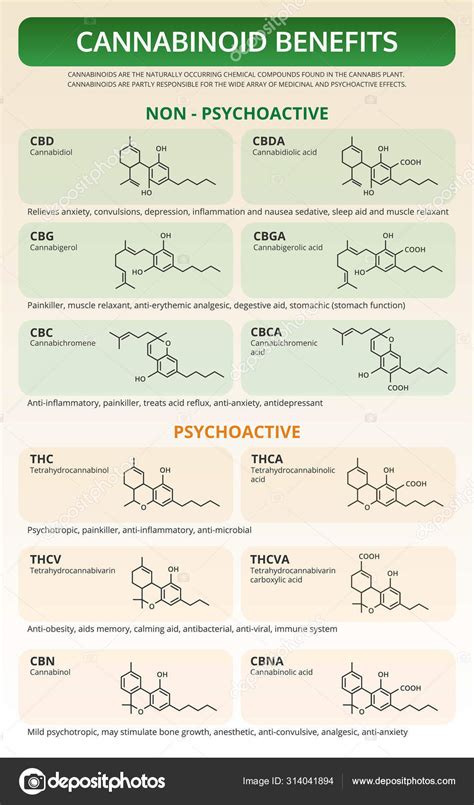 Cannabinoid Benefits vertical textbook infographic Stock Vector Image by ©About-time #314041894