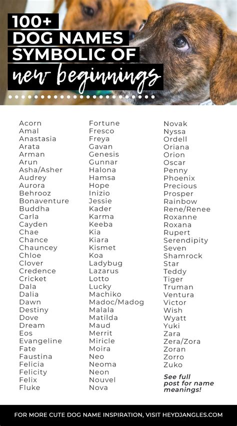 100+ Dog Names That Mean New Beginning - dog names symbolic of new ...