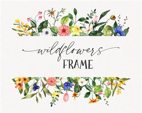 Floral Border PNG Clipart Wildflower Frame Watercolor Wild - Etsy Australia