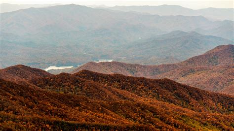 Fall colors: Photographers explore East Tennessee's autumn landscape