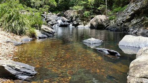 Conondale Great Walk - Aussie Bushwalking