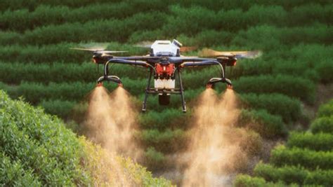 From soil health analysis to precision irrigation: Here’s how drones are changing the landscape ...