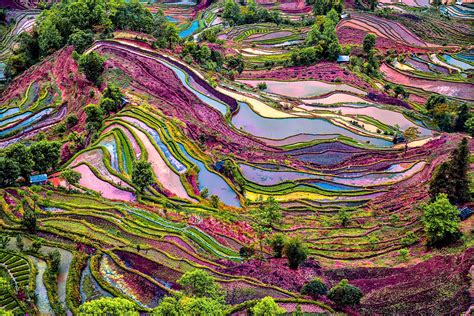 China’s rice terraces — The most beautiful in the world