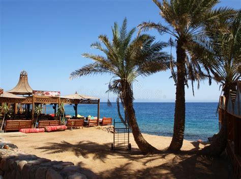 Dahab stock image. Image of enjoy, travel, diving, trees - 8514593