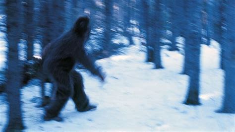 Abominable Snowman Sightings