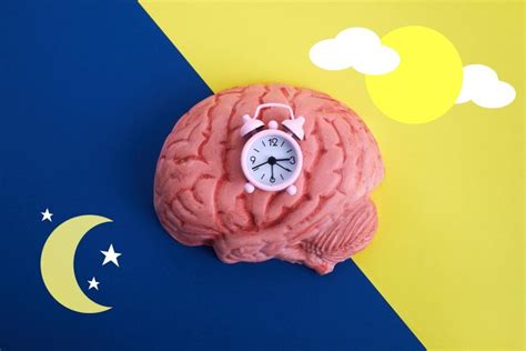 Research Reveals the Circadian Clock Influences Cell Growth, Metabolism and Cancer Progression