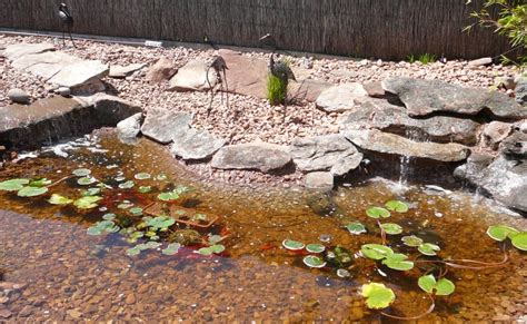 How To Build Concrete Garden Fish Ponds Outside Step By Step.