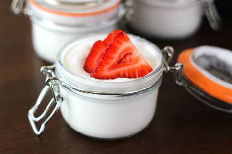 Coconut Yogurt Recipe - Easy 4 Ingredient Recipe!