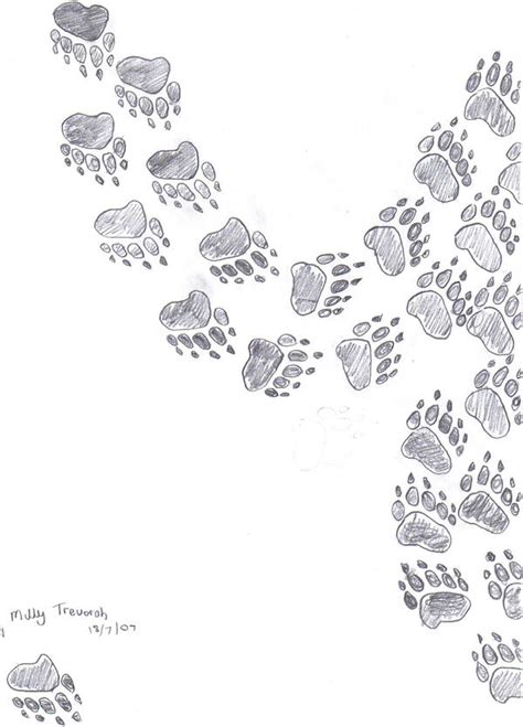 panda footprints by chibi-neko101 on DeviantArt