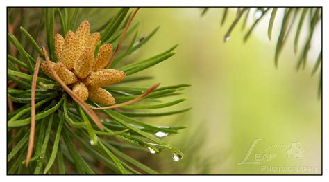 Redfish Lake | Boise, Stanley, Sun Valley, Idaho photographer - BLOG ...