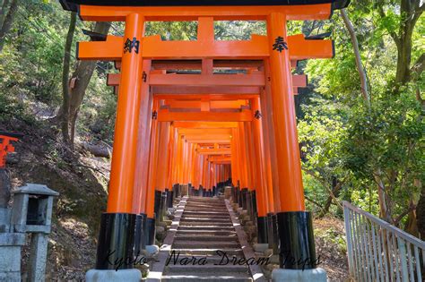 Fushimi Inari Taisha: Climbing Mt.Inari (2020) In Kyoto - Japan. Path leading to Fushimi Inari ...