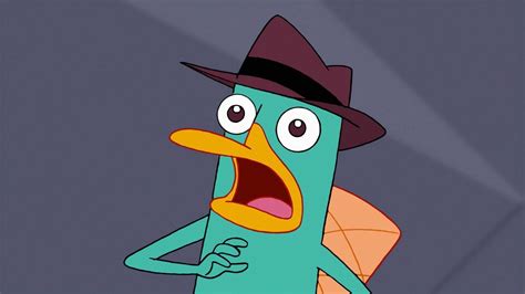 Perry The Platypus Wallpapers - Wallpaper Cave