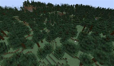 Where is the spruce tree located in Minecraft