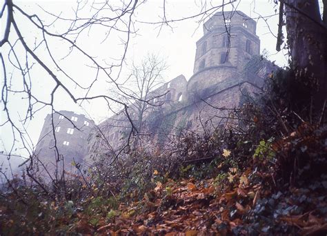 Heidelberg Castle | Connected Traveler