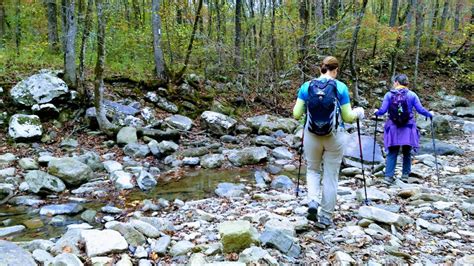 An Ultimate Hike in the Wonderful Woods of Arkansas ⋆ Wherever You'll Go