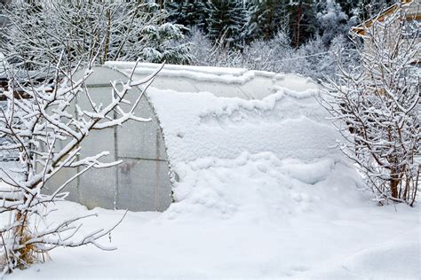 Winter Greenhouse Gardening: Growing Plants Through Winter In A Greenhouse