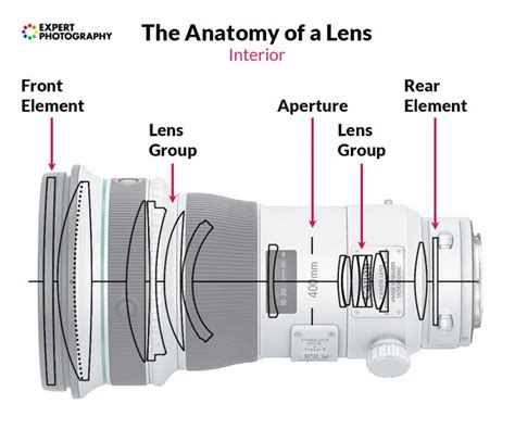 Camera Lens Guide (How Lenses Work & 8 Types Explained)