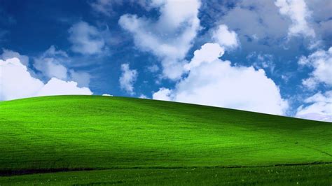 Windows XP Grass Wallpapers - Top Free Windows XP Grass Backgrounds - WallpaperAccess