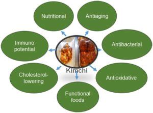 Kimchi: its probiotic benefits and the recipe | Mygutmatters.com