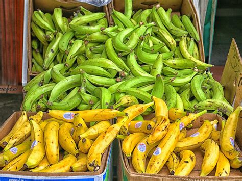 Tout savoir sur les banane plantain : description, origine, vitamines... : recette Banane plantain