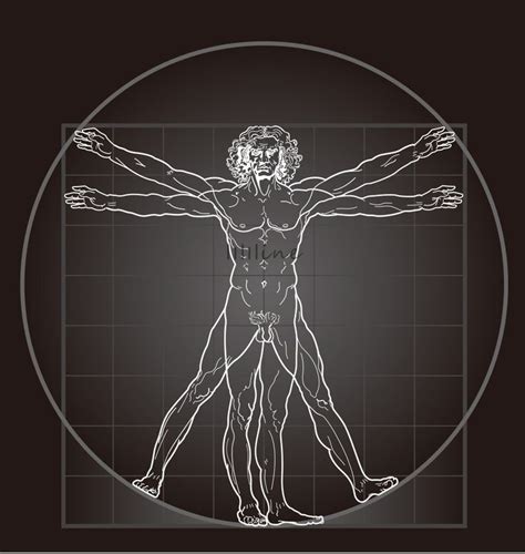 the Vitruvian Man by Leonardo da Vinci | Vitruvian man, Vitruvian man ...