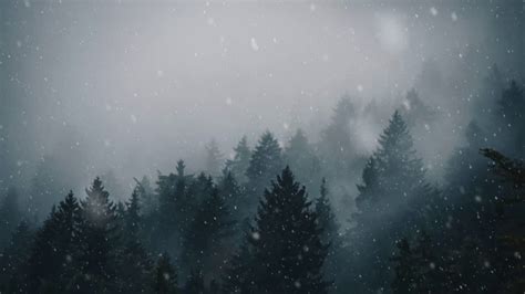 Free Download Animated Forest Snow For Wallpaper Engine [4k] [1280x720 F64