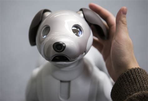 Sony’s facial recognition robot dog banned in Illinois