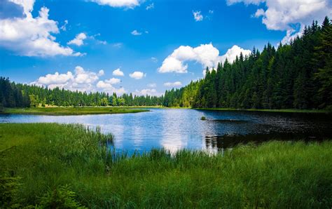 Scenic View of Lake in Forest Desktop Wallpapers - Computer Background Images