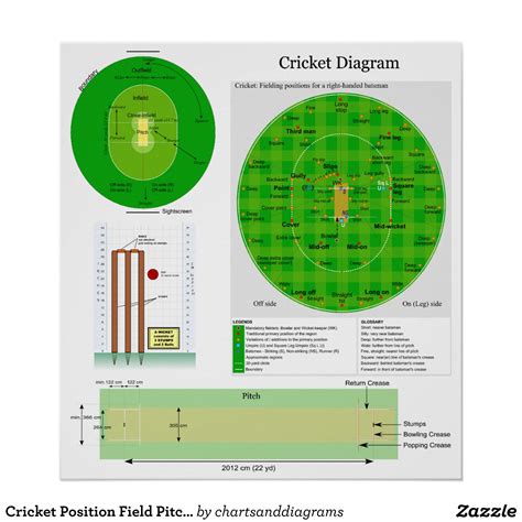 Cricket Field Dimensions Layout