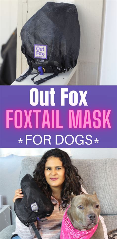 Foxtail Mask For Dogs | Dogs, Dog nose, Foxtail