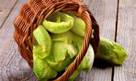 Green gardening: Growing endive | Smart Tips