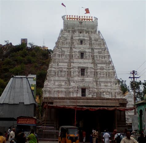 TTD - Tirumala Tirupati Devasthanam | Darshan | Accommodation | Site Visits | Prasad