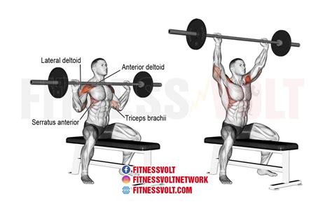 15 Best Overhead Barbell Press Variations for Big, Powerful Shoulders ...