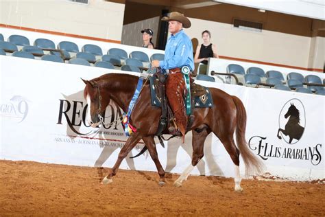 Horse Shows - 2020 - 2023 Farm and Horse Shows - 2023 Region 9 Championships - PB & HA Ranch ...