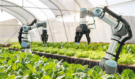 The Future of Agriculture is in Smart Farming | GMO Research