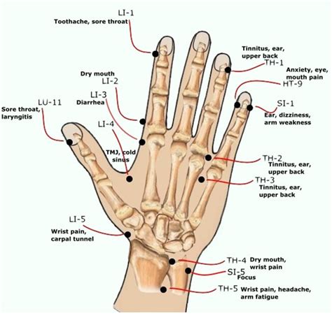 Dry Needling or Acupuncture? Part 1 An interview with Dr Peter ...