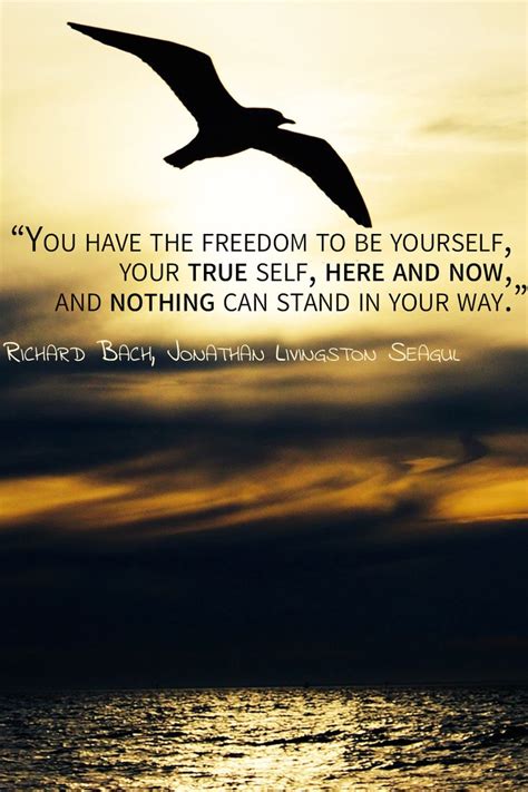 Quote from "Jonathan Livingston Seagull" | Life quotes inspirational ...